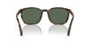 Polo Ralph Lauren PH4208U Shiny Havana/Bottle Green #colour_shiny-havana-bottle-green