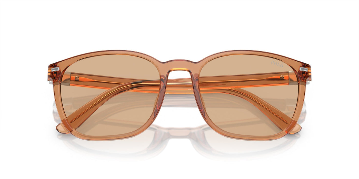 Polo Ralph Lauren PH4208U Shiny Transparent Brown/Light Brown #colour_shiny-transparent-brown-light-brown