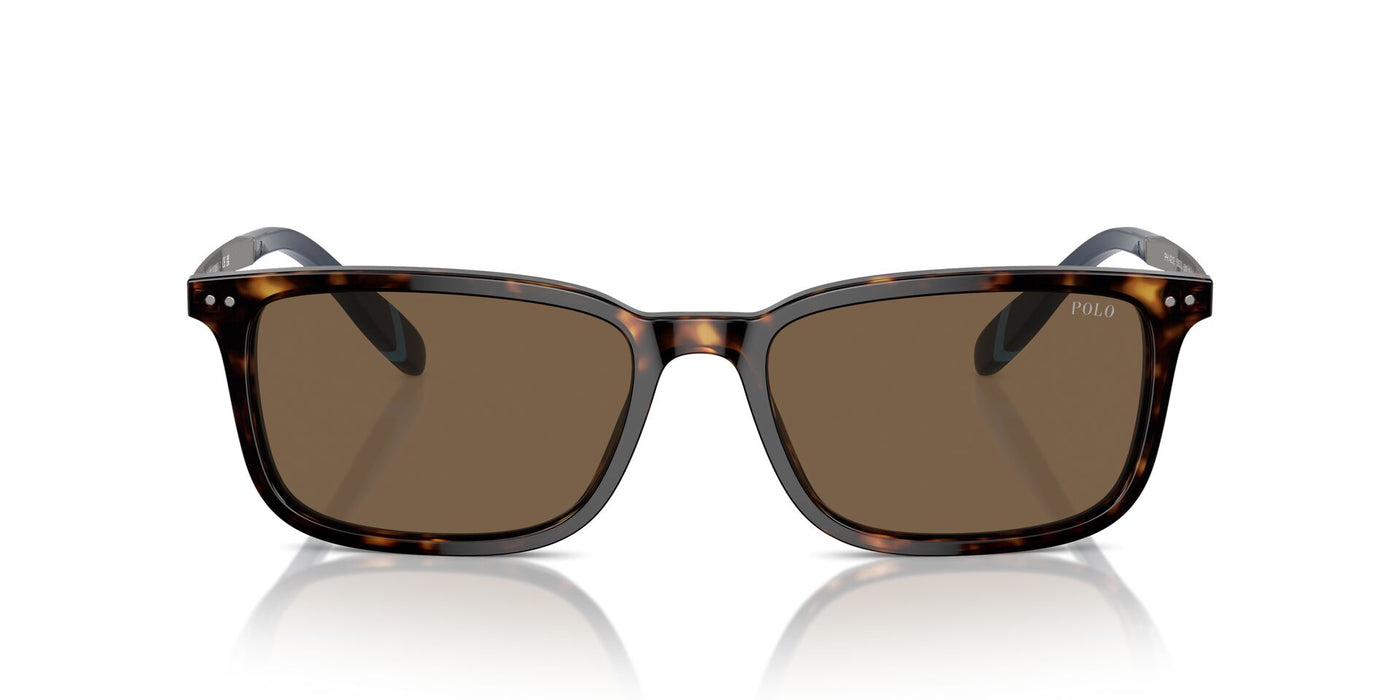 Polo Ralph Lauren PH4212 Shiny Dark Havana/Brown #colour_shiny-dark-havana-brown