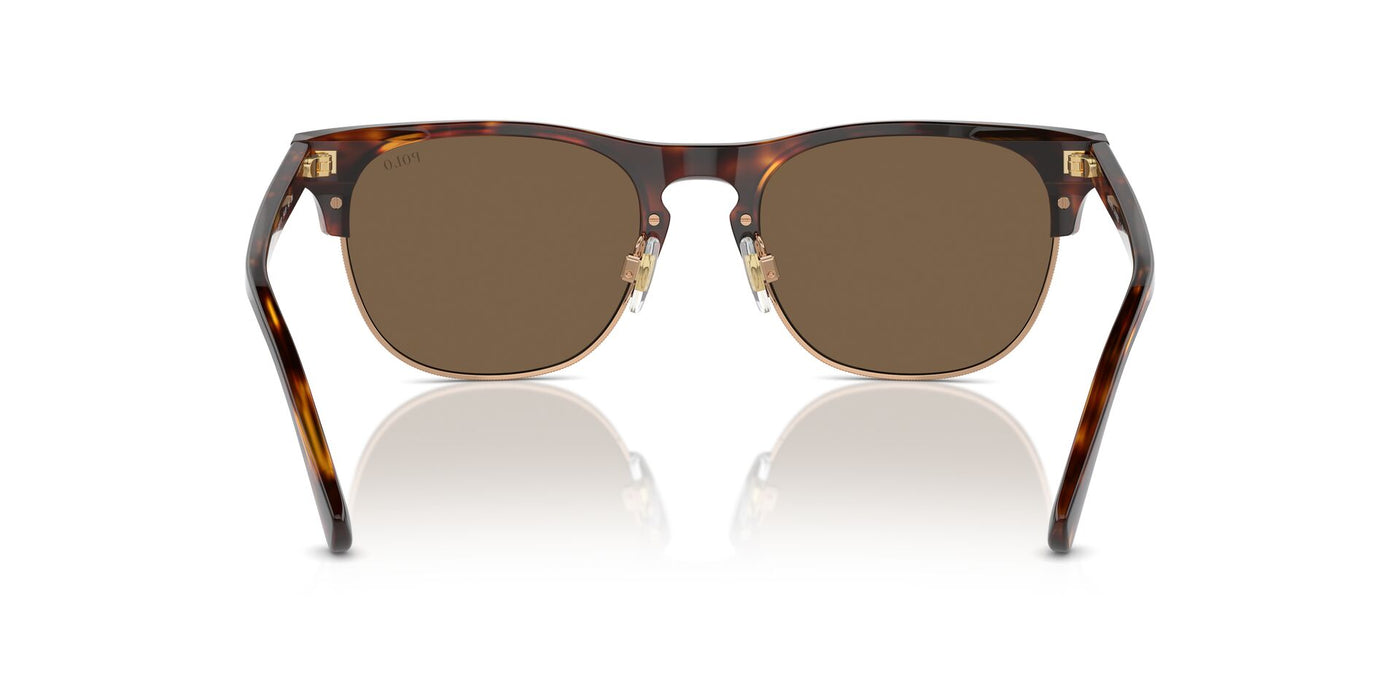 Polo Ralph Lauren PH4213 Shiny Brown Tortoise/Brown #colour_shiny-brown-tortoise-brown