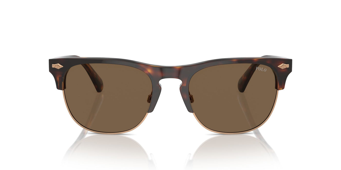 Polo Ralph Lauren PH4213 Shiny Brown Tortoise/Brown #colour_shiny-brown-tortoise-brown