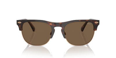 Polo Ralph Lauren PH4213 Shiny Brown Tortoise/Brown #colour_shiny-brown-tortoise-brown