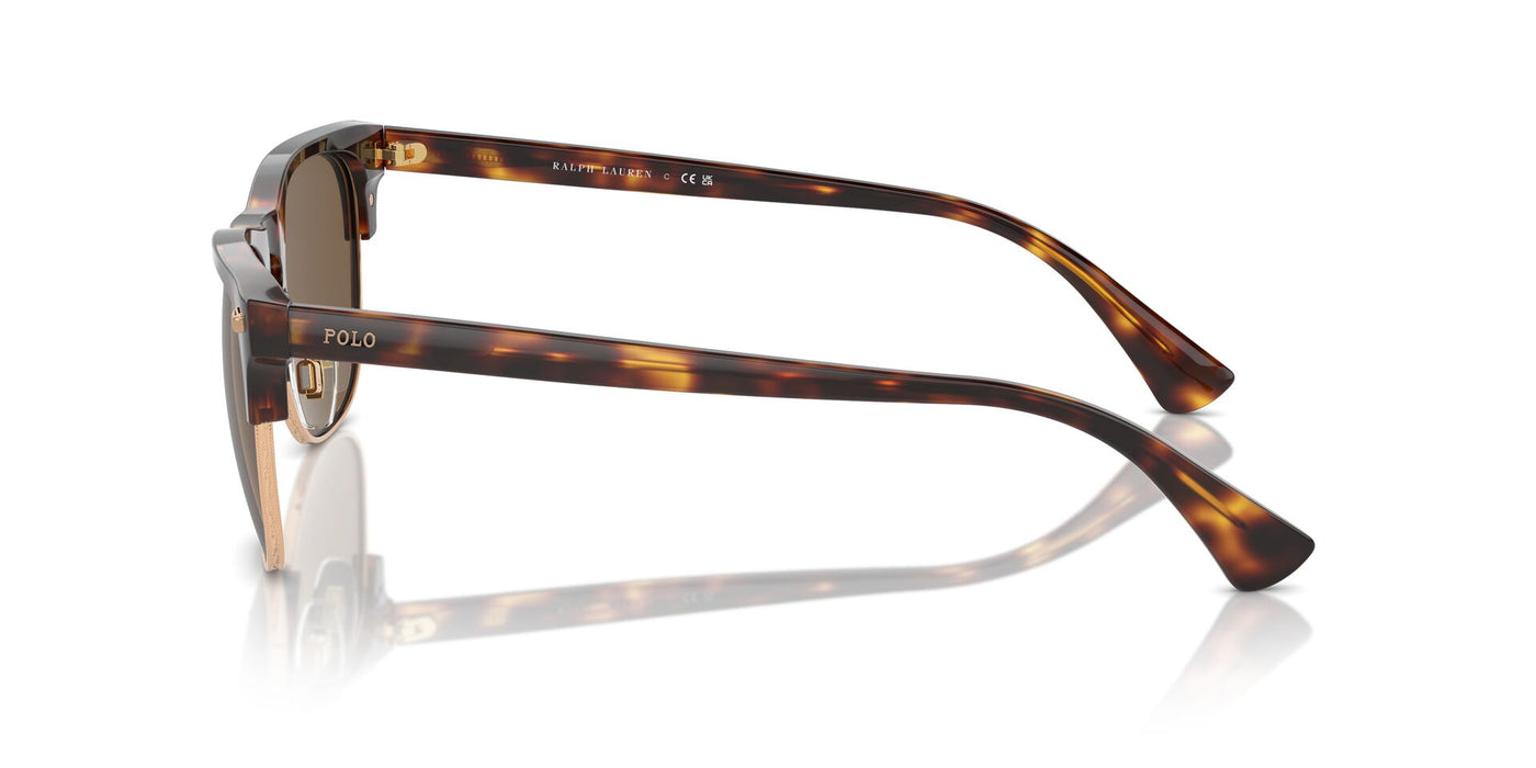 Polo Ralph Lauren PH4213 Shiny Brown Tortoise/Brown #colour_shiny-brown-tortoise-brown