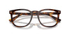 Polo Ralph Lauren PH4214 Shiny Brown Tortoise/Brown #colour_shiny-brown-tortoise-brown