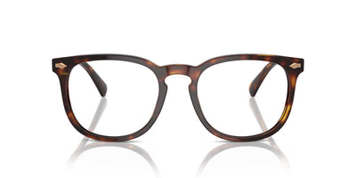 Polo Ralph Lauren PH4214 Shiny Brown Tortoise/Brown #colour_shiny-brown-tortoise-brown