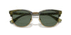 Polo Ralph Lauren PH4217 Shiny Green Havana/Bottle Green #colour_shiny-green-havana-bottle-green