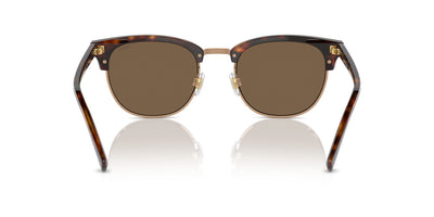 Polo Ralph Lauren PH4217 Shiny Brown Tortoise/Brown #colour_shiny-brown-tortoise-brown