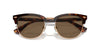 Polo Ralph Lauren PH4217 Shiny Brown Tortoise/Brown #colour_shiny-brown-tortoise-brown