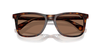 Polo Ralph Lauren PH4220U Shiny Brown Tortoise/Dark Brown #colour_shiny-brown-tortoise-dark-brown