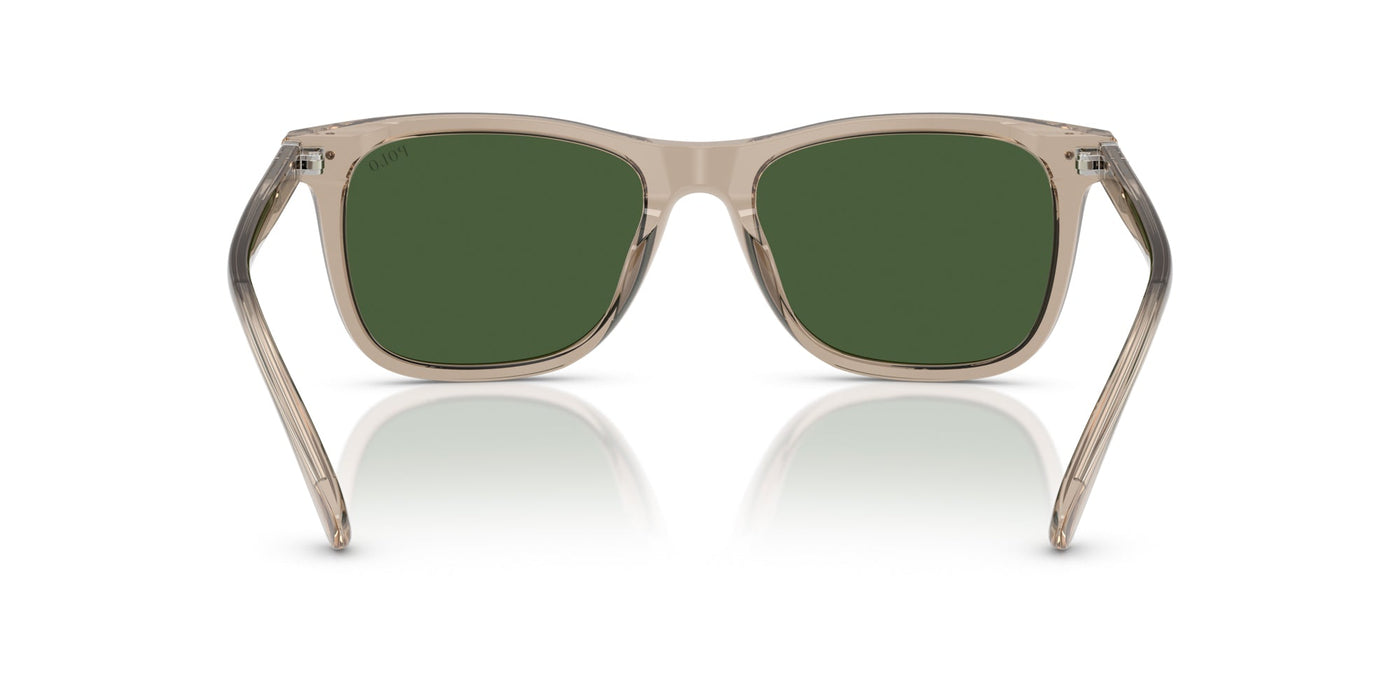 Polo Ralph Lauren PH4220U Shiny Transparent Dark Taupe/Bottle Green #colour_shiny-transparent-dark-taupe-bottle-green