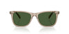 Polo Ralph Lauren PH4220U Shiny Transparent Dark Taupe/Bottle Green #colour_shiny-transparent-dark-taupe-bottle-green