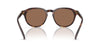 Polo Ralph Lauren PH4221 Shiny Brown Tortoise/Dark Brown #colour_shiny-brown-tortoise-dark-brown