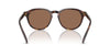 Polo Ralph Lauren PH4221 Shiny Brown Tortoise/Dark Brown #colour_shiny-brown-tortoise-dark-brown