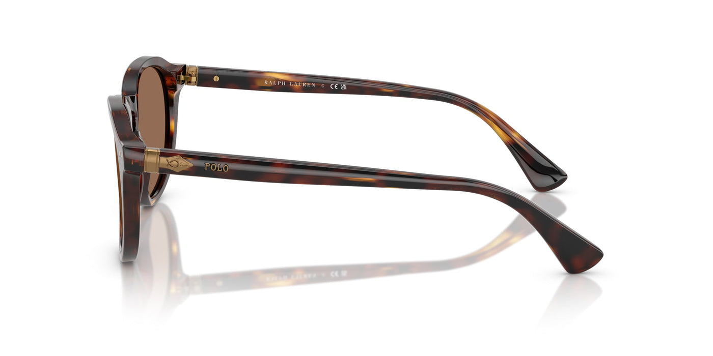 Polo Ralph Lauren PH4221 Shiny Brown Tortoise/Dark Brown #colour_shiny-brown-tortoise-dark-brown