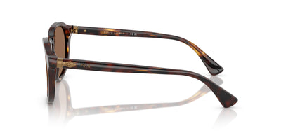 Polo Ralph Lauren PH4221 Shiny Brown Tortoise/Dark Brown #colour_shiny-brown-tortoise-dark-brown