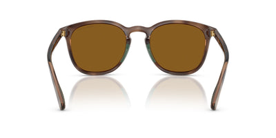 Polo Ralph Lauren PH4222U Shiny Dark Havana/Dark Brown Polarised #colour_shiny-dark-havana-dark-brown-polarised