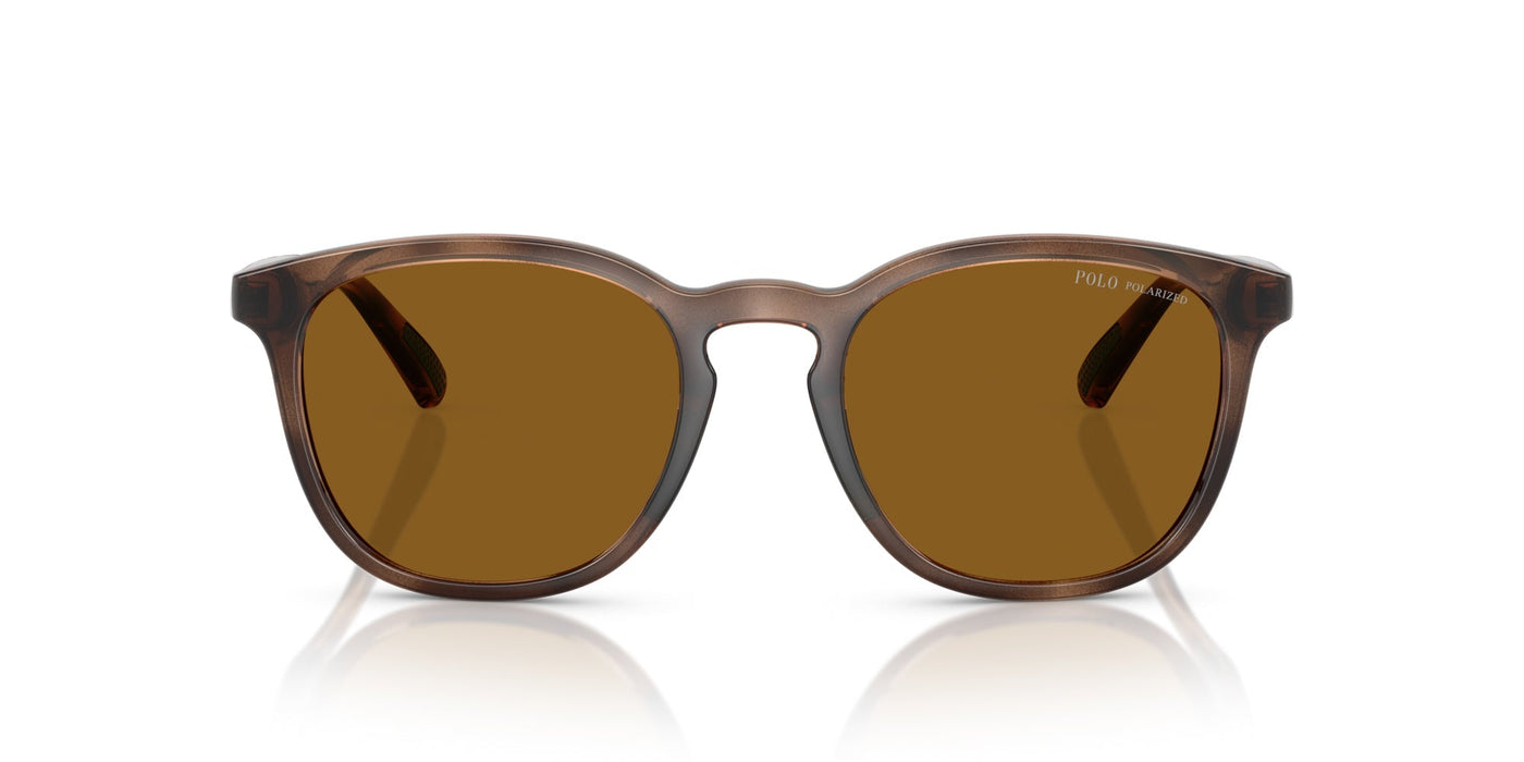 Polo Ralph Lauren PH4222U Shiny Dark Havana/Dark Brown Polarised #colour_shiny-dark-havana-dark-brown-polarised