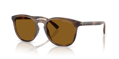 Polo Ralph Lauren PH4222U Shiny Dark Havana/Dark Brown Polarised #colour_shiny-dark-havana-dark-brown-polarised