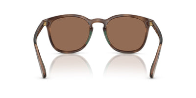 Polo Ralph Lauren PH4222U Shiny Dark Havana/Dark Brown #colour_shiny-dark-havana-dark-brown