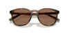 Polo Ralph Lauren PH4222U Shiny Dark Havana/Dark Brown #colour_shiny-dark-havana-dark-brown