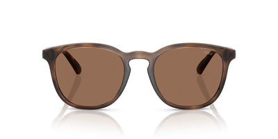 Polo Ralph Lauren PH4222U Shiny Dark Havana/Dark Brown #colour_shiny-dark-havana-dark-brown