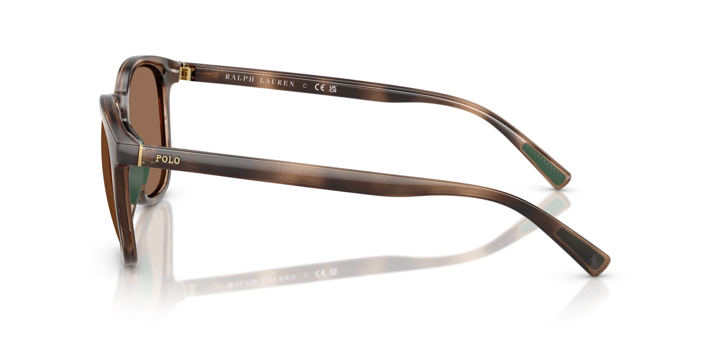 Polo Ralph Lauren PH4222U Shiny Dark Havana/Dark Brown #colour_shiny-dark-havana-dark-brown