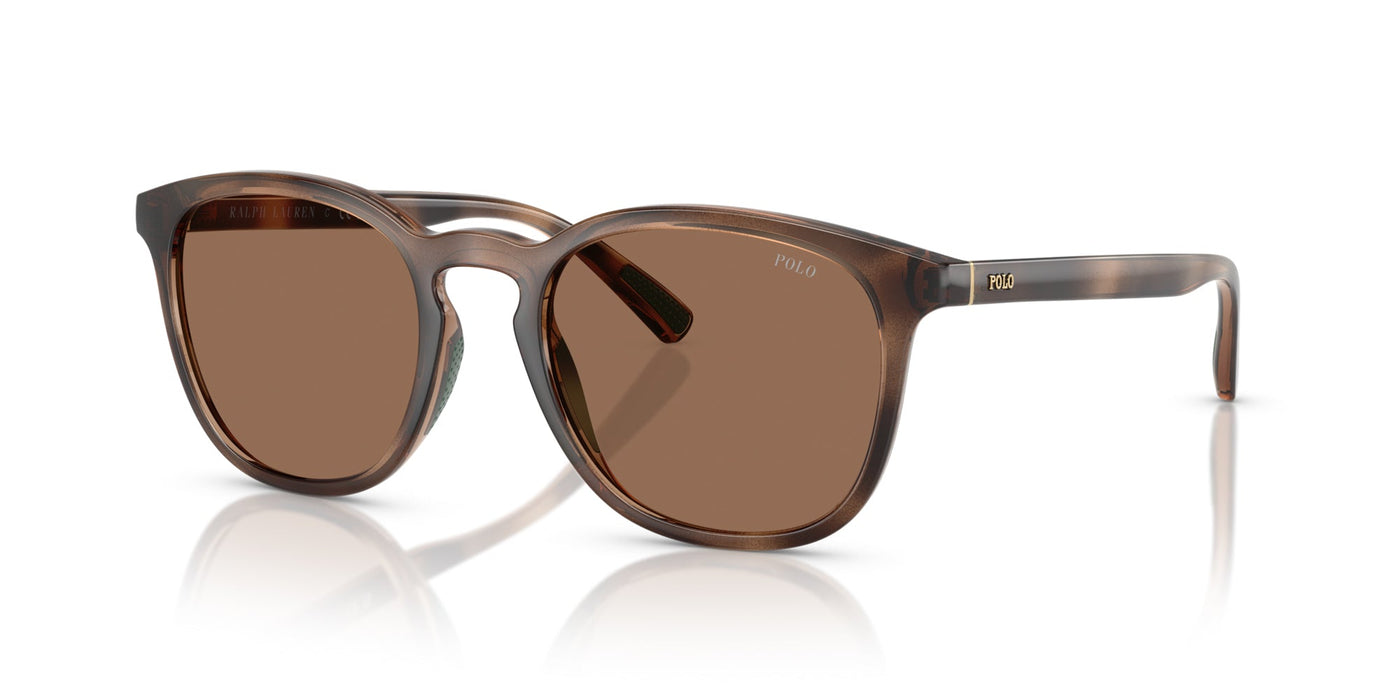 Polo Ralph Lauren PH4222U Shiny Dark Havana/Dark Brown #colour_shiny-dark-havana-dark-brown