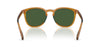 Polo Ralph Lauren PH4222U Shiny Transparent Honey Brown/Bottle Green #colour_shiny-transparent-honey-brown-bottle-green