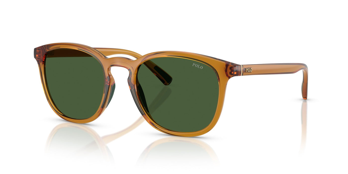 Polo Ralph Lauren PH4222U Shiny Transparent Honey Brown/Bottle Green #colour_shiny-transparent-honey-brown-bottle-green