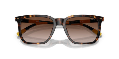 Polo Ralph Lauren PH4224U Shiny Dark Havana/Dark Brown Gradient #colour_shiny-dark-havana-dark-brown-gradient