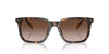 Polo Ralph Lauren PH4224U Shiny Dark Havana/Dark Brown Gradient #colour_shiny-dark-havana-dark-brown-gradient