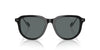 Polo Ralph Lauren PH4225 Shiny Black/Dark Grey #colour_shiny-black-dark-grey