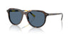 Polo Ralph Lauren PH4225 Shiny Dark Havana/Dark Blue #colour_shiny-dark-havana-dark-blue