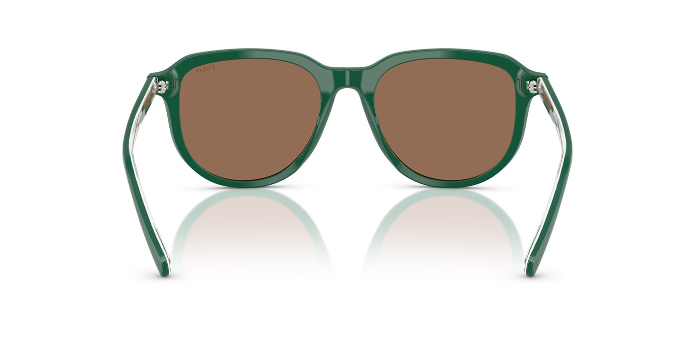 Polo Ralph Lauren PH4225 Shiny Dark Green/Dark Brown #colour_shiny-dark-green-dark-brown