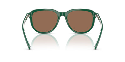 Polo Ralph Lauren PH4225 Shiny Dark Green/Dark Brown #colour_shiny-dark-green-dark-brown