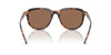 Polo Ralph Lauren PH4225 Shiny Dark Havana/Dark Brown #colour_shiny-dark-havana-dark-brown