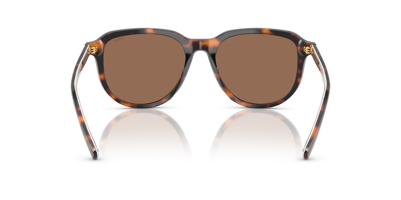 Polo Ralph Lauren PH4225 Shiny Dark Havana/Dark Brown #colour_shiny-dark-havana-dark-brown