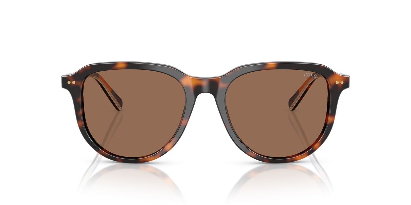 Polo Ralph Lauren PH4225 Shiny Dark Havana/Dark Brown #colour_shiny-dark-havana-dark-brown