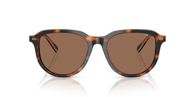 Polo Ralph Lauren PH4225 Shiny Dark Havana/Dark Brown #colour_shiny-dark-havana-dark-brown