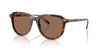 Polo Ralph Lauren PH4225 Shiny Dark Havana/Dark Brown #colour_shiny-dark-havana-dark-brown