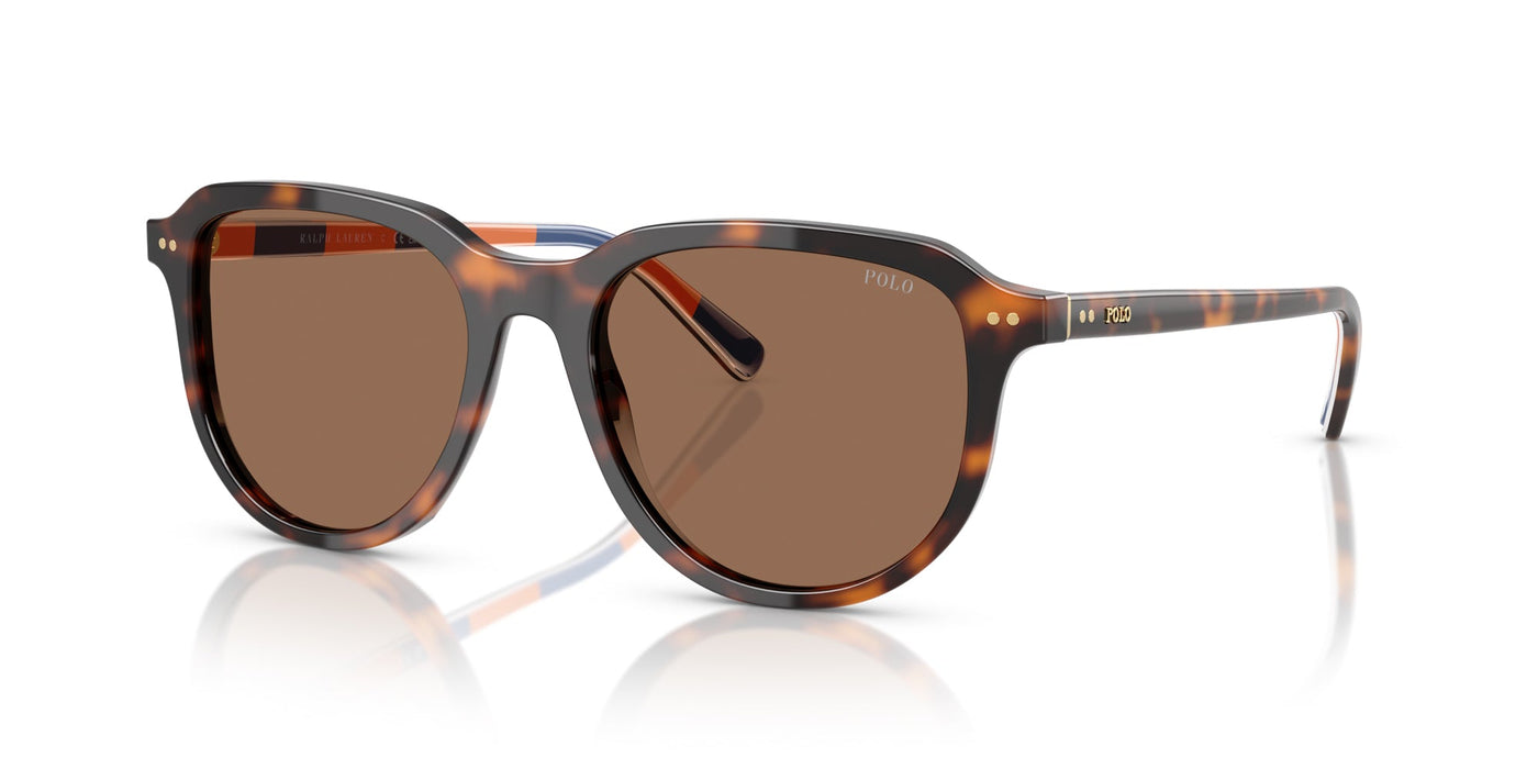 Polo Ralph Lauren PH4225 Shiny Dark Havana/Dark Brown #colour_shiny-dark-havana-dark-brown