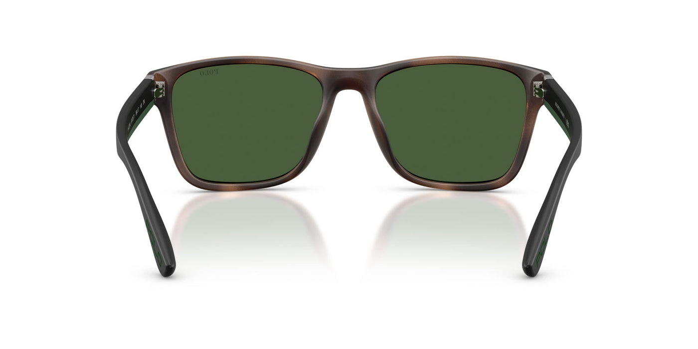 Polo Ralph Lauren PH4229U Matte Dark Havana/Bottle Green #colour_matte-dark-havana-bottle-green