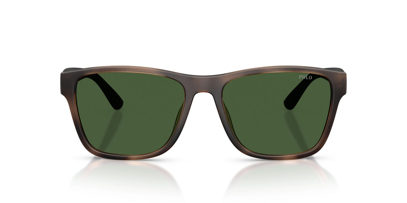 Polo Ralph Lauren PH4229U Matte Dark Havana/Bottle Green #colour_matte-dark-havana-bottle-green