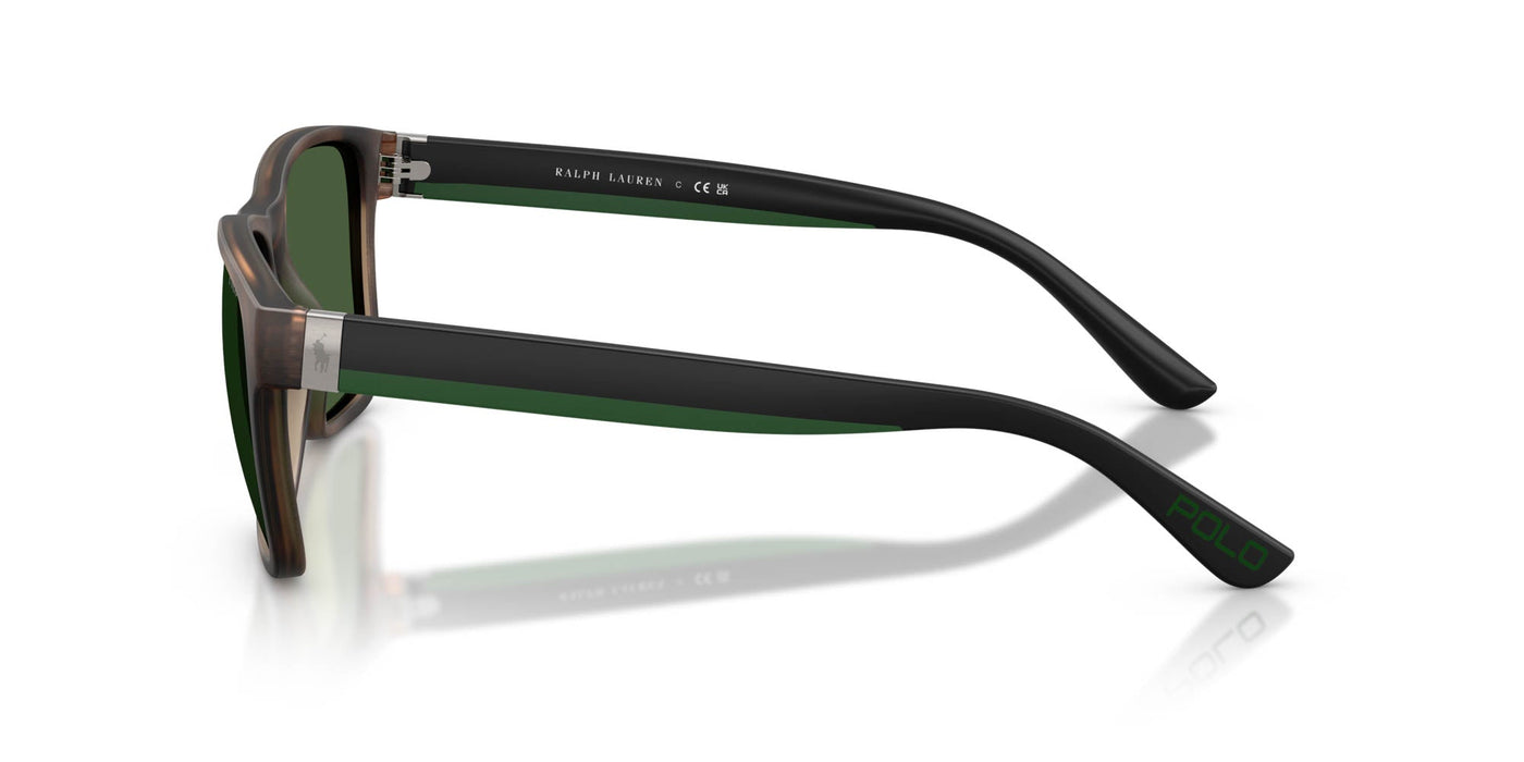 Polo Ralph Lauren PH4229U Matte Dark Havana/Bottle Green #colour_matte-dark-havana-bottle-green