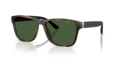 Polo Ralph Lauren PH4229U Matte Dark Havana/Bottle Green #colour_matte-dark-havana-bottle-green
