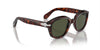 Persol PO0060S Havana/Green #colour_havana-green