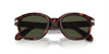 Persol PO0060S Havana/Green #colour_havana-green