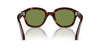 Persol PO0060S Havana/Light Green #colour_havana-light-green