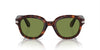 Persol PO0060S Havana/Light Green #colour_havana-light-green