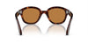 Persol PO0060S Havana/Brown #colour_havana-brown